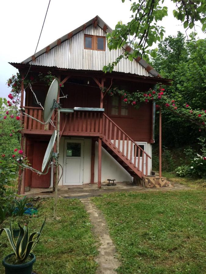 Villa Tengiz Chakvistavi Екстериор снимка